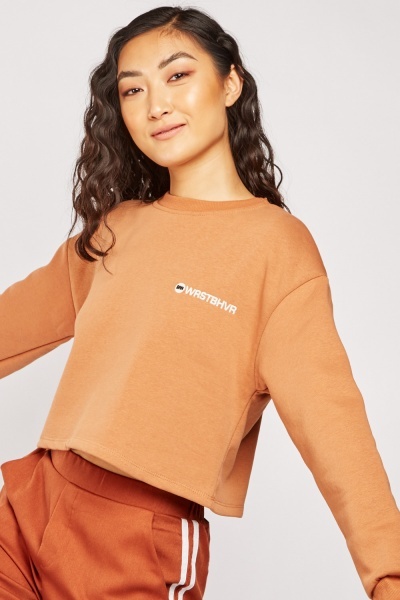 Embroidered Crop Sweatshirt