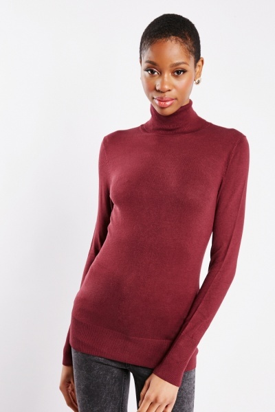 Roll Neck Thin Knit Top
