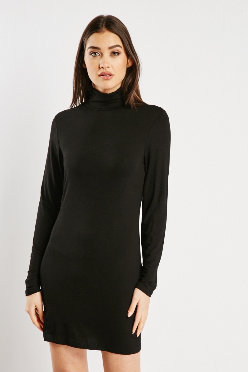 Polo neck 2024 long sleeve dress